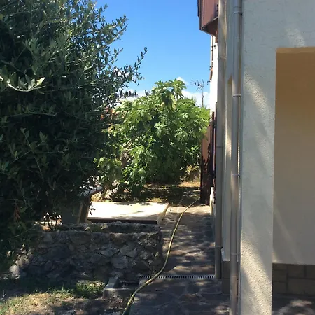 La Fourmi كان